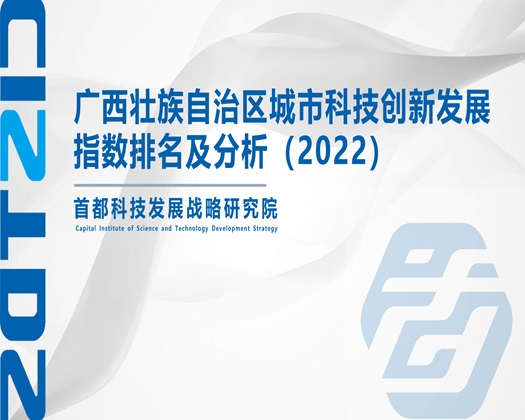 抠逼搞j视频【成果发布】广西壮族自治区城市科技创新发展指数排名及分析（2022）